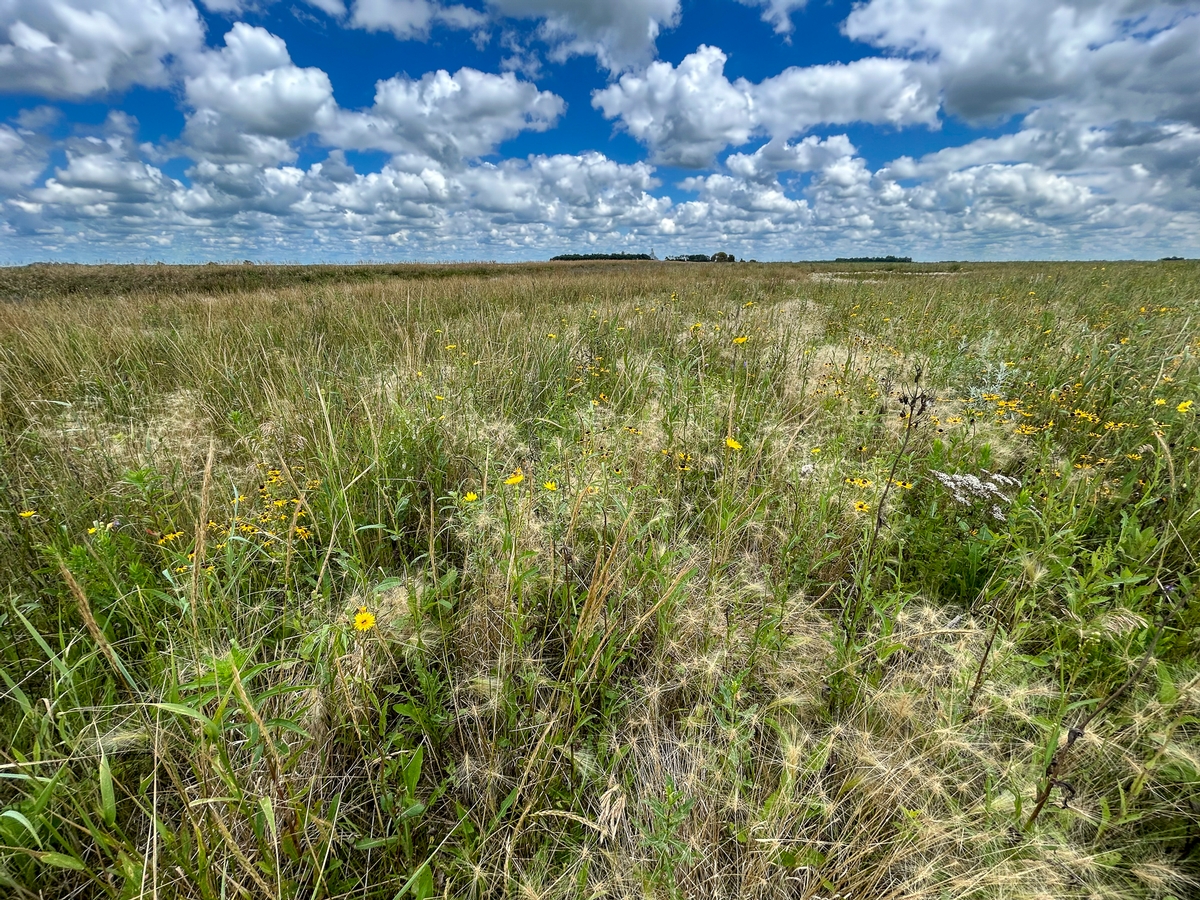 Robin Hood WPA Expansion